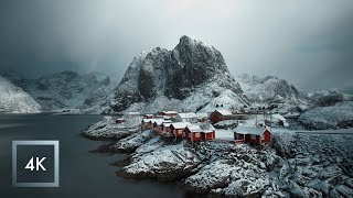 Momentos Satisfactorios en la Nieve ❄️ Relájate con Escenas de Invierno y Naturaleza