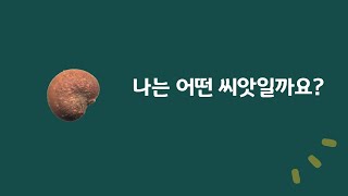 진로교육 영상-나는 어떤 씨앗일까요?