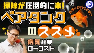 水槽掃除が“圧倒的に”ラクになる！ベアタンクのススメ！水槽に砂利は不要…⁉