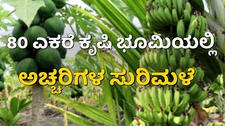 80 ಎಕರೆ ಕೃಷಿ ಭೂಮಿಯಲ್ಲಿ ಅಚ್ಚರಿಗಳ ಸುರಿಮಳೆ| Miraculous results in 80 acre farmland, banana, papaya