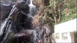 ஆர்ப்பரித்து கொட்டும் ஐந்தருவியின் இன்றைய நிலவரம் 🥶🤩|FiveFalls update | FiveFalls status | குற்றாலம்