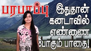 கனடாவில் இப்படி ஒரு பிரச்சனை இருப்பது எத்தனை பேருக்குத் தெரியும்? | Canadian oil transportation