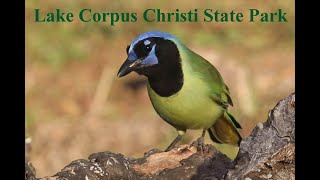 Lake Corpus Christi State Park, Texas