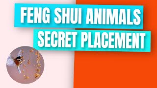 Feng Shui Tips -Feng Shui Tips That Could Change Your Life -Uses and Placement