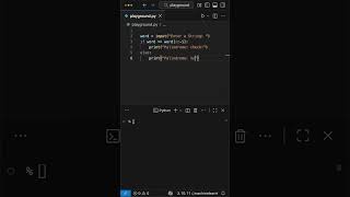 Palindrome Function Python
