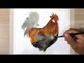 painting a chicken rooster in watercolor