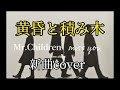 mr.children「黄昏と積み木」 fake cover 新曲