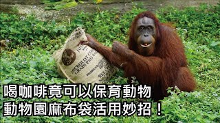 喝咖啡竟可以保育動物，動物園麻布袋活用妙招！