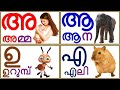 Learn Malayalam Vowels /swaraksharanghal /സ്വരാക്ഷരങ്ങൾ/Malayalam Alphabet /Malayalam Aksharamala