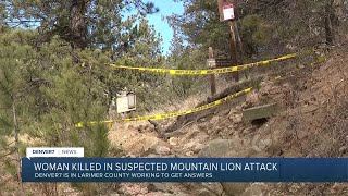 Suspected mountain lion attack: The latest on a woman's death on Larimer County trail