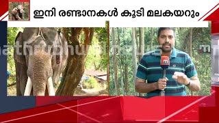 മുത്തങ്ങയില്‍ നിന്ന് സൂര്യന്‍ യാത്ര ആരംഭിച്ചു; അരിക്കൊമ്പനെ പിടികൂടാന്‍ കുങ്കികളെത്തുന്നു|Ari Komban