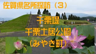 【佐賀県名所探訪(３)】 千栗堤／千栗土居公園　（みやき町）