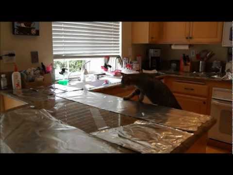 Cat countertop surfing prevention- aluminum foil and packing tape Cat countertop surfing prevention- aluminum foil and packing tape