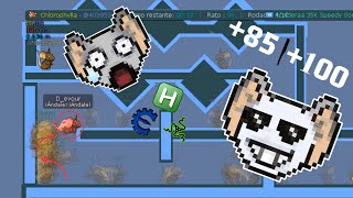 D_evour +85/100 MICE Racing Gameplay #12 - Transformice