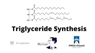 Triglyceride metabolism | Biochemistry | Test 3 | Wroclaw Medical University