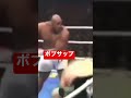 ボブサップkoシーン　 野獣 格闘技 mma kickboxing ko パンチ boxing short shorts shortvideo