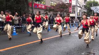 わいわい連／流し会場②／第3回踊るん♪よさこい（2013）