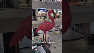 Beautiful Flamingo in Langvel  Mall Thanjavur 🏬🦩✨ #langvelmall #tanjavur #shortsvideo