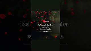A B C D E F G H I Song by Hariharan and Udit Narayan | hum saath saath hain full movie | salman khan