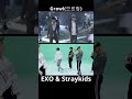 스트레이키즈_exo 으르렁 _커버 straykids_growl_cover