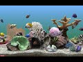 Marine Aquarium Screensaver Best Fish Tank 3 Hours of Relaxing Video 60fps