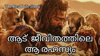 ആട് ജീവിതത്തിലെ ആ രഹസ്യം 😱 The Real Story #aadujeevitham #prithviraj #amalapaul