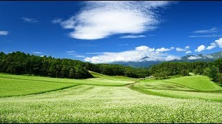 夏から秋に蕎麦の花咲く中山高原・4K