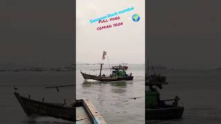 Sassoon Docks, built in 1875, is one of the oldest docks in Mumbai India and was the first wet dock 