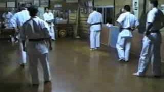 SEIDOKAN KARATE AT SENSEI TOMA'S DOJO