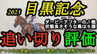 【最終追い切り評価】2023目黒記念全頭！ダービーアフターの1戦！状態が良さそうなA評価は5頭！