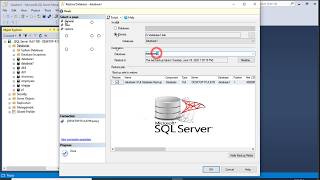 How to make backup and restore SQL Server database in another new name example