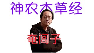 倪海厦《神农本草经》细分版： 047奄闾子