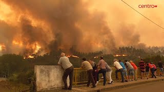 Quatro distritos da região Centro em alerta vermelho devido a risco de incêndios