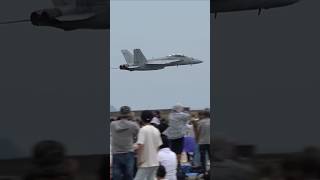 This is the real U.S. Navy Rhino! F/A-18F Rhino demo team showing off a great take-off performance!