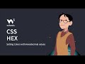 CSS - Colors Hex - W3Schools.com