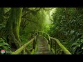 past life regression guided spoken sleep meditation before sleeping