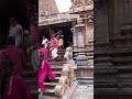 thanjavur tamil nadu life travel shortvideos nature shortsvideo viral tamil