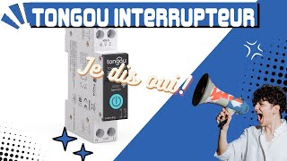 Interrupteur intelligent révolutionnaire : le TONGOU !