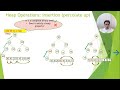 Priority Queue, Binary Heap, and Heap Sort (including Java Implementation)