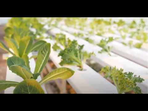 SusTech: sustainability through technology