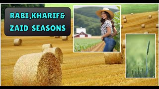 Understanding Rabi, Kharif, and Zaid Seasons: A Farmer's Guide