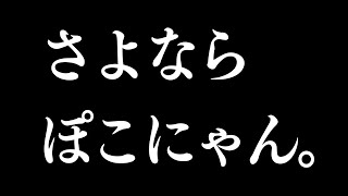 【ご報告】さよならぽこにゃん。今までありがとう