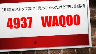 [月曜日ストップ高？]4937　ＷＡＱＯＯ　　既に売ってしまいましたがチャート形成は非常に良い状態に思います✨✨　しかし、出来高が少ないので予期せぬ動きをする可能性もあります！！