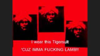 Raein - Tigersuit (With Lyrics)