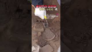 땅을 팠더니 나온 유물 연화문 수막새 #국립경주문화유산연구소 #고고학#발굴현장