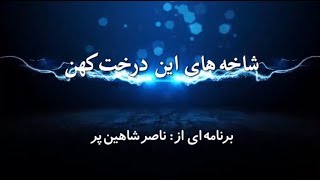 شاخه های این درخت کهن  دوشنبه ۲۸ اسفند