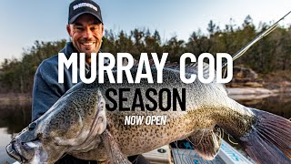 Murray Cod Season 2025 | Tackle and technique explained!