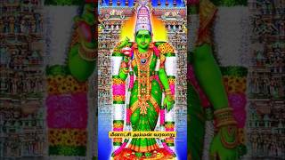 மீனாட்சி அம்மன் வரலாறு #meenatchi #meenakshi #madurai #maduraimeenakshi #shortsfeed #shorts #fyp #yt