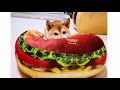 犬をダメにするクッション！ビックハンバーガーにかじりつく柴犬チャーミー