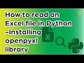 How to read Excel files 📄 in Python 🐍
